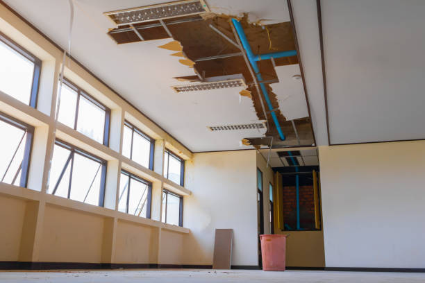 Best Carpet water damage restoration  in Hideaway, TX