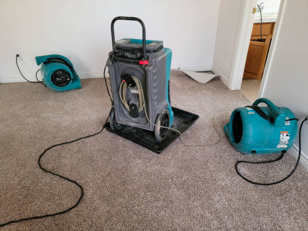 Best Sewage cleanup and water damage restoration  in Hideaway, TX