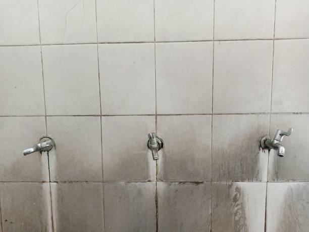 Best Water damage mitigation services  in Hideaway, TX