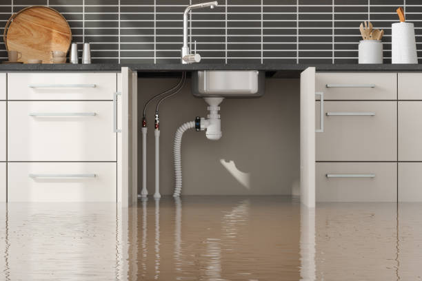 Best Water damage restoration mold remediation  in Hideaway, TX
