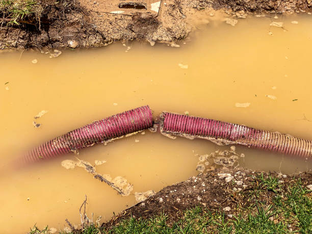  Hideaway, TX Water damage restoration Pros