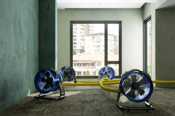 Best Water damage restoration cost  in Hideaway, TX