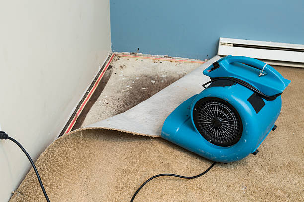Best 24-hour water damage restoration  in Hideaway, TX